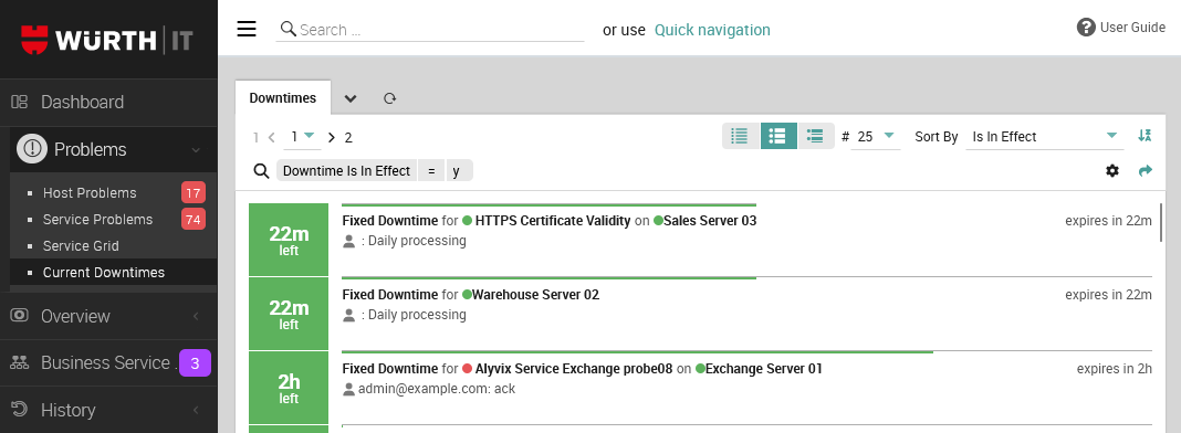 Screenshot of the downtime problems view